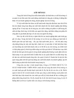 VỐN ,  PHƯƠNG PHÁP sử DỤNG vốn của CÔNG TY cổ PHẦN DỊCH vụ và XUẤT NHẬP KHẨU THIÊN PHÚC 