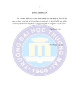 PHÁT TRIỂN DỊCH vụ tín DỤNG của các CÔNG TY tài CHÍNH ở VIỆT NAM 