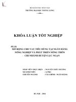 Luận văn mở rộng cho vay tiêu dùng tại ngân hàng nông nghiệp và phát triển nông thôn chi nhánh huyện lục ngạn 