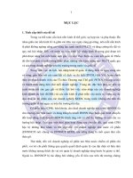 Giải pháp nâng cao năng lực cạnh tranh của doanh nghiệp nhà nước kinh doanh du lịch sau cổ phần hóa trên địa bàn hà nội 