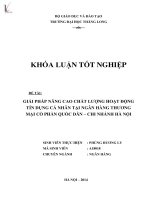 Luận văn giải pháp nâng cao chất lượng hoạt động tín dụng cá nhân tại ngân hàng thương mại cổ phần quốc dân chi nhánh hà nội 