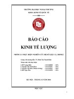 Báo cáo môn Kinh Tế Lượng, Đại học Ngoại Thương