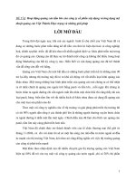 Hoạt động quảng cáo tấm lớn của công ty CP xây dựng và ứng dụng mỹ thuật quảng cáo việt thành thực trạng và những giải pháp 