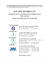 BẢN CÔNG BỐ THÔNG TIN BÁN PHẦN VỐN CỦA TẬP ĐOÀN CÔNG NGHIỆP CAO SU VIỆT NAM TẠI CÔNG TY CỔ PHẦN ĐẦU TƯ SÀI GÒN VRG