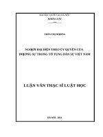 Người đại diện theo ủy quyền của đương sự trong tố tụng dân sự việt nam 