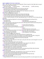 BTTN CHUONG SONG ANH SANG (THEO TUNG DANG co dap an)