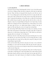 sang kien kinh nghiem tieng anh THPT