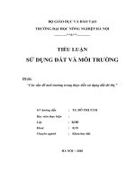 Tiểu luận: Các vấn đề môi trường trong thực tiễn sử dụng đất đô thị