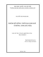 Nhóm đồ đồng thời đại kim khí ở đông anh (hà nội) 