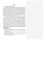 Nghiên  cứu   huyết  khối  tĩnh  mạch  sâu  chi  dưới và  các  yếu  tố  nguy  cơ  trên  sản   phụ mổ lấy thai