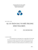 Sự cố tràn dầu và ảnh hưởng của nó đến môi trường