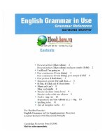 English grammar in use reference 