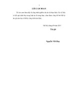 Luận án “Nghiên cứu đánh giá tính dư trong kết cấu cầu ở Việt Nam”.