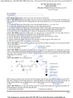 DeThiThu netde thi thu mon sinh nam 2016 lan1 hay free