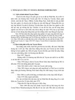 Tiểu luận môn marketing quốc tế chiến lược thâm nhập thị trường thế giới của công ty toyota