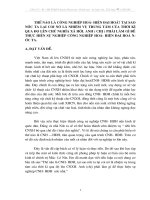 Tiểu luận thế nào là CNH hđh tại sao nước ta lại coi nó là nhiệm vụ trung tâm của thời kỳ qua độ lên CNXH 