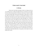 Tiểu luận Chiến tranh và hoà bình