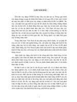 Tiểu luận các hình thức sở hữu trong nền kinh tế thị trường có sự quản lý của nhà nước theo định hướng XHCN ở VN