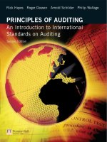 principles of auditing