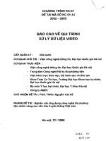 Báo cáo về quy trình sử lý dữ liệu video 