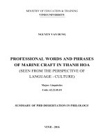 Thông tin luận án tieng anh (nguyen van dung)