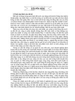 Chiến lược marketing của công ty HANOTEX xuất khẩu hàng dệt may sang thị trường mỹ 