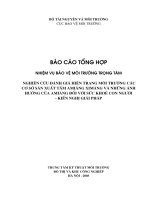 nghiên cứu đánh giá hiện trạng môi tr   ờng các cơ sở sản xuất tấm amiăng ximăng và những ảnh h   ởng của amiăng đối với sức khoẻ con ng   ời   kiến nghị giải pháp 