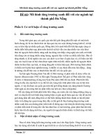 Mô hình tăng trưởng xanh đối với các ngành tại thành phố đà nẵng