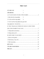 Luận văn xây dựng và phát triển khu công nghiệp ở việt nam thực trạng và giải pháp