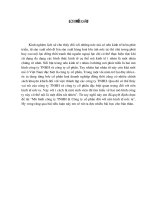 Tiểu luận mô hình công ty TNHH và công ty cổ phần đối với nền kinh tế nước ta 