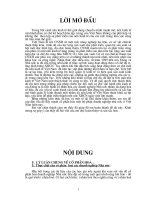 Tiểu luận thực trạng cổ phần hoá doanh nghiệp nhà nước ở VN 