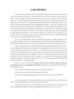 Tiểu luận đánh giá chính sách FDI vào Việt Nam trong thời gian qua