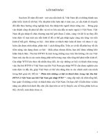 Luận văn Phân tích những cơ hội và thách thức trong việc thu hút đầu tư nước ngoài Việt Nam sau khi Việt Nam hội nhập WTO