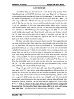 Luận văn một số ý kiến về thẻ ngân hàng và quản lý rủi ro trong kinh doanh thẻ tại sở giao dịch ngân hàng NHNoPTNT (agribank) vịêt nam 