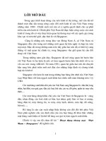 Tiểu luận hoạt động thương mại việt nam và singapore 