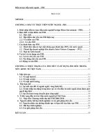 Tiểu luận FDI, thực trạng và giải pháp thu hút, sử dụng FDI tại Việt Nam