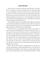 Luận văn tình hình đầu tư ra nước ngoài của các doanh nghiệp việt nam 