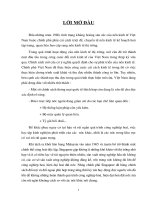 Tiểu luận hoạt động thương mại giữa việt nam và singapore 