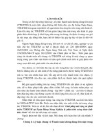 Luận văn giải pháp mở rộng và phát triển thị trường kinh doanh thương mại tại ngân hàng NHNoPTNT (agribank) tỉnh bắc ninh 