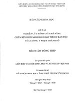 NGHIÊN CỨU ĐÁNH GIÁ KHẢ NĂNG CHỮA BỆNH HIVAIDS BẰNG BÀI THUỐC DÂN TỘC CỦA LƯƠNG Y PHẠM THÀNH TÔ