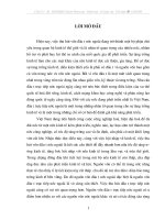 Luận văn vai trò của vốn FDI vào Việt Nam hiện nay