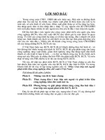 Tiểu luận FDI phát triển khu công nghiệp khu chế xuất ở việt nam 