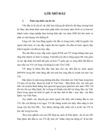 Tiểu luận tiềm năng của việt nam trong việc thu hút FDI từ hàn quốc 