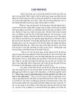 Luận văn thực trạng và 1 số giải pháp nâng cao hiệu quả đầu tư vào nhà ở cho người có thu nhập thấp 