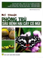 Kỹ thuật phòng trừ sâu bệnh hại cây có múi