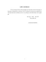 Nâng cao chất lượng dịch vụ tín dụng cho vay khách hàng cá nhân tại ngân hàng BIDV thanh hóa