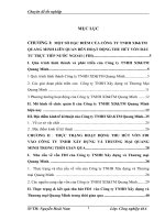 Luận văn một số giải pháp thu hút FDI vào công ty TNHH xây dựng và thương mại quang minh 