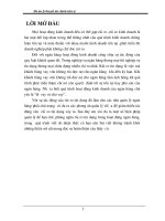 Tiểu luận một số biện pháp quản lý để hạn chế, phòng ngừa rủi ro tín dụng ngân hàng 