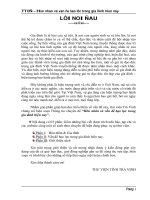 Hôn nhân và vấn đề bạo lực trong gia đình hiện nay