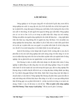 Luận văn đầu tư phát triển nông nghiệp tỉnh hải dương thực trạng và giải pháp 